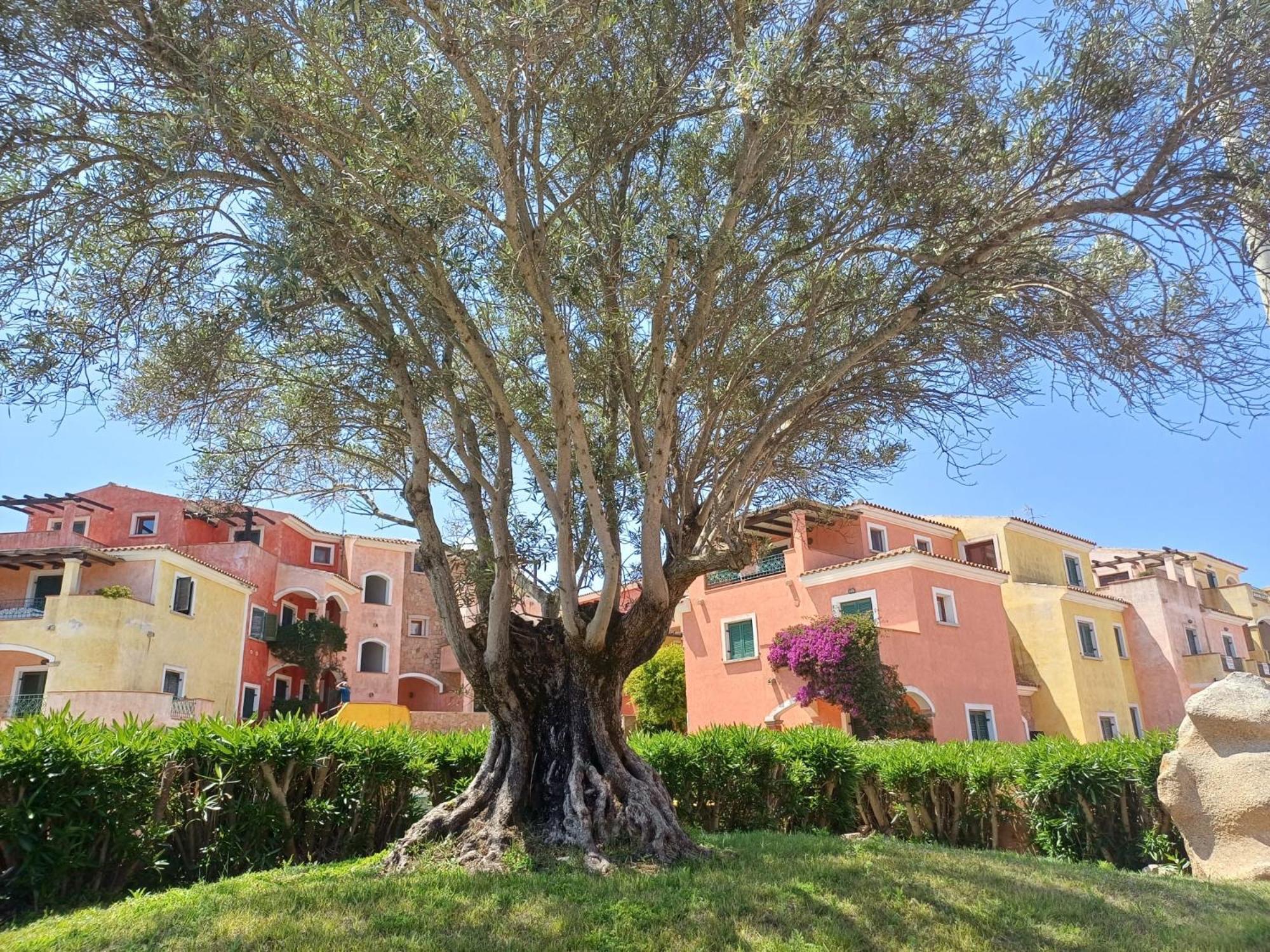 Ferienwohnung Casa Ginevra Santa Teresa Gallura Exterior foto
