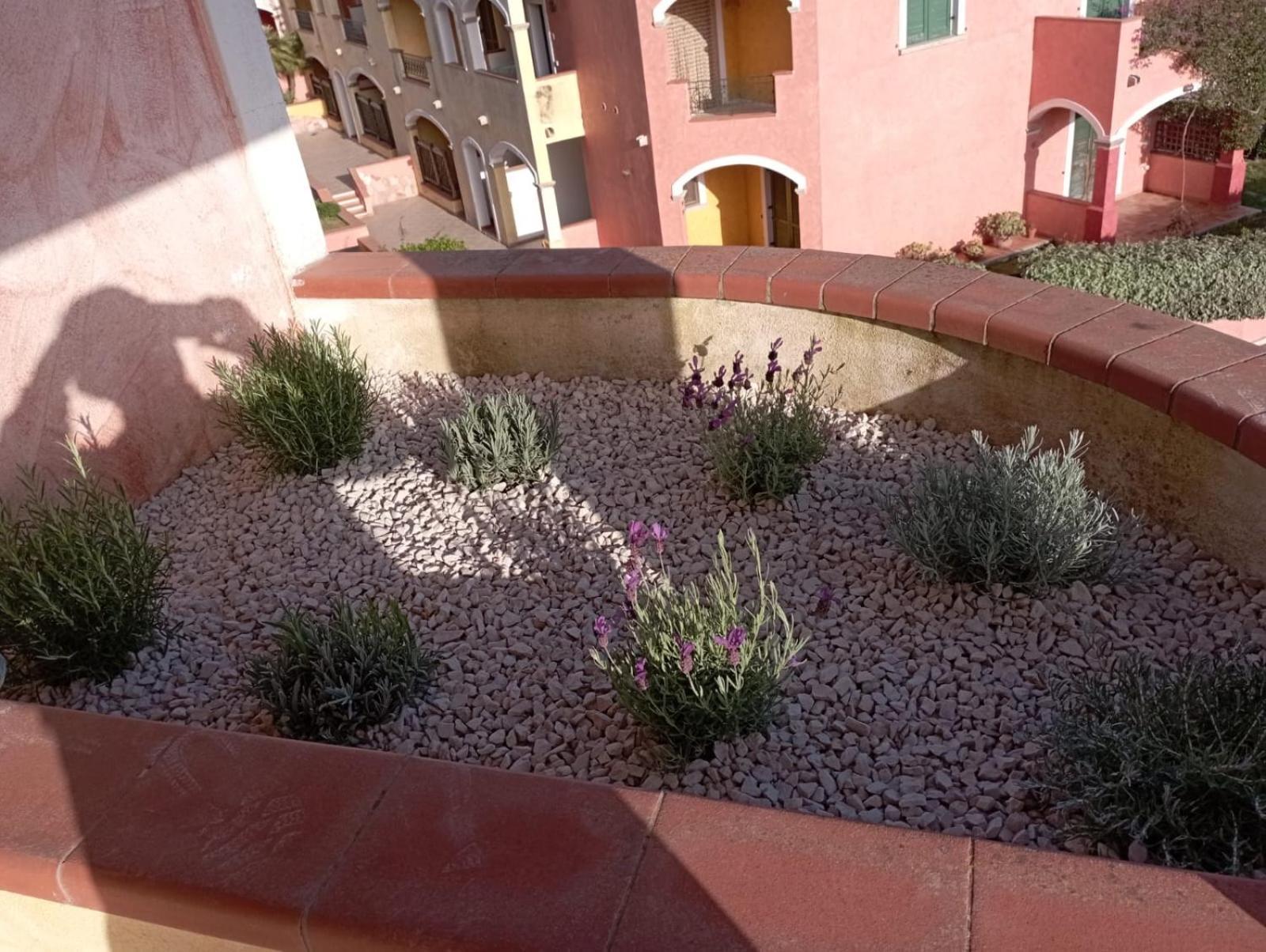 Ferienwohnung Casa Ginevra Santa Teresa Gallura Exterior foto